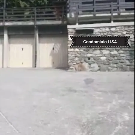 Evette : Sole, Sport, Relax E Cibo Genuino Appartamento *